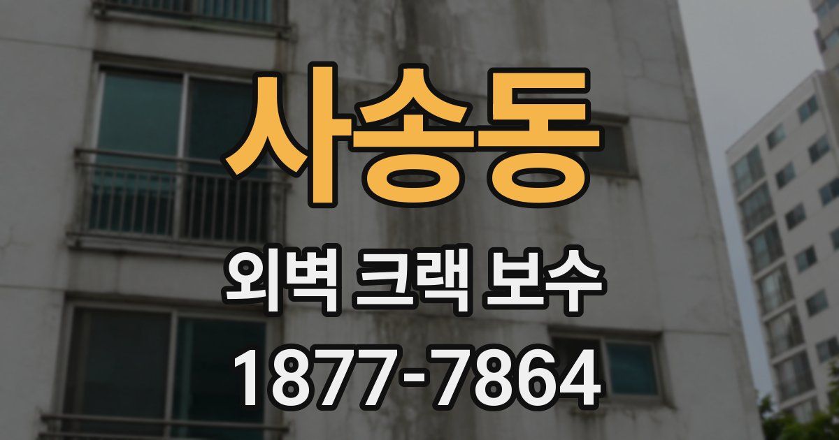 사송동 외벽 크랙 보수