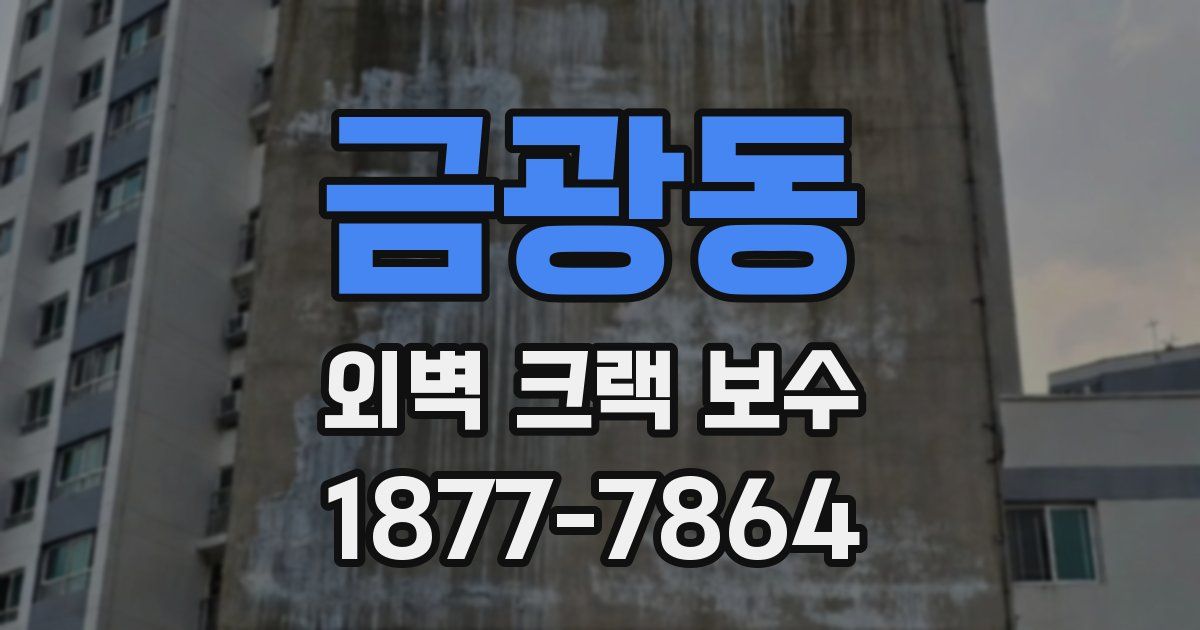 금광동 외벽 크랙 보수