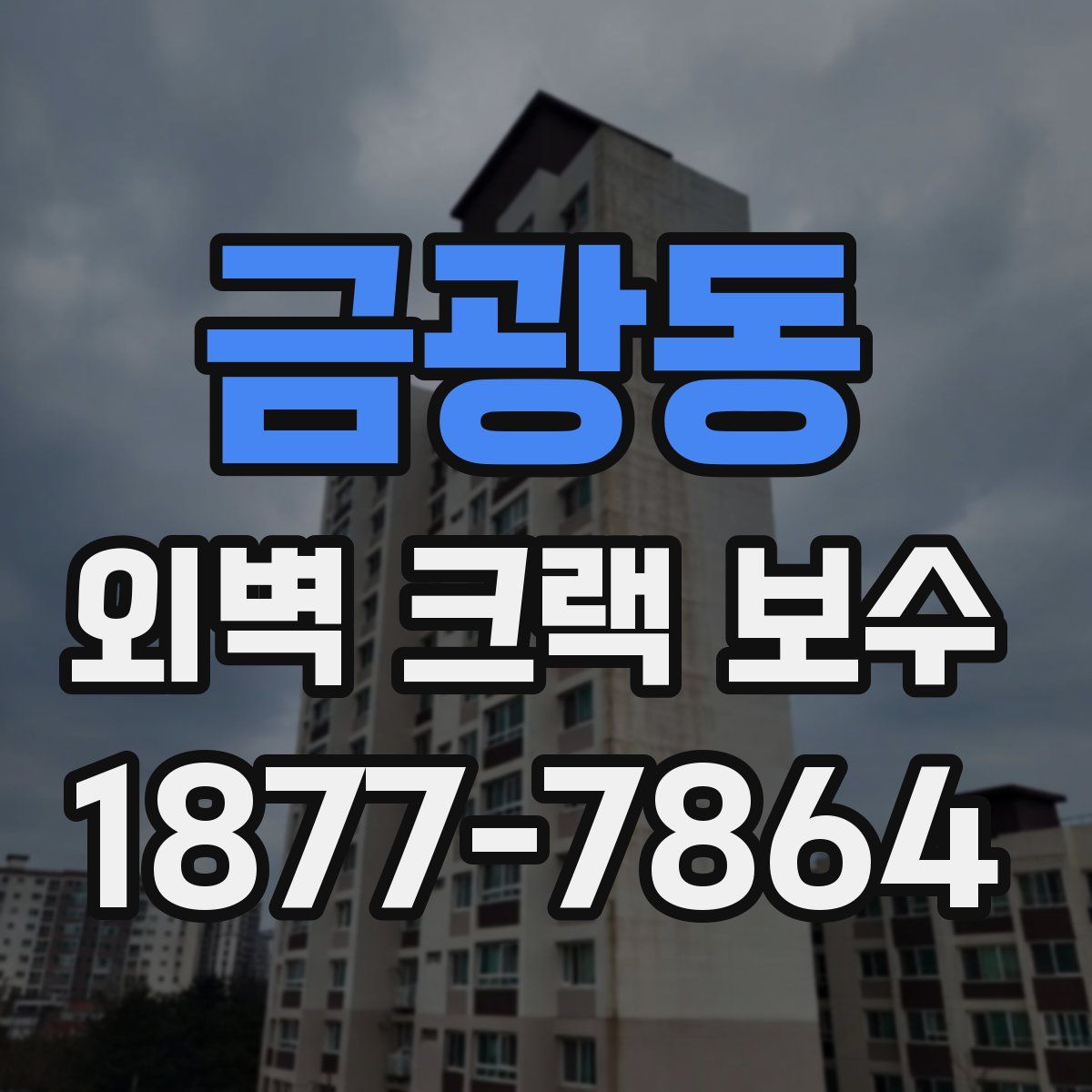 금광동 외벽 크랙 보수