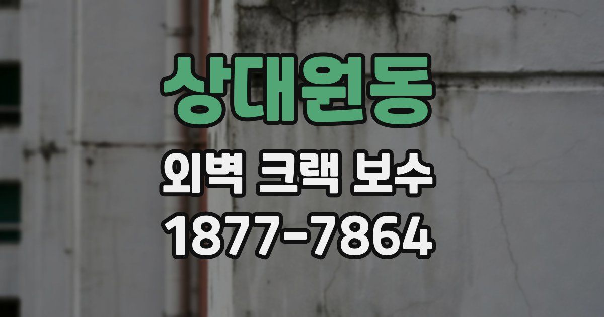 상대원동 외벽 크랙 보수