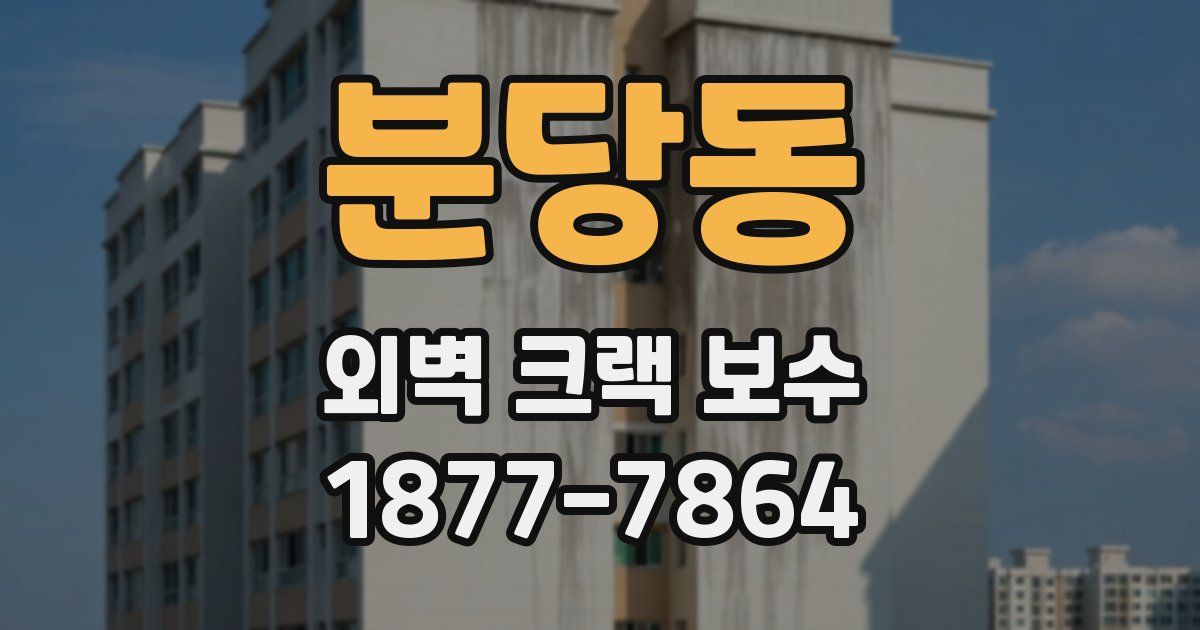 분당동 외벽 크랙 보수