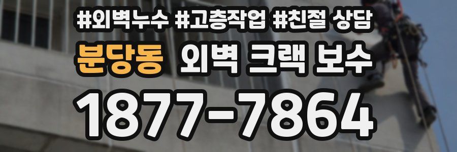 분당동 외벽 크랙 보수