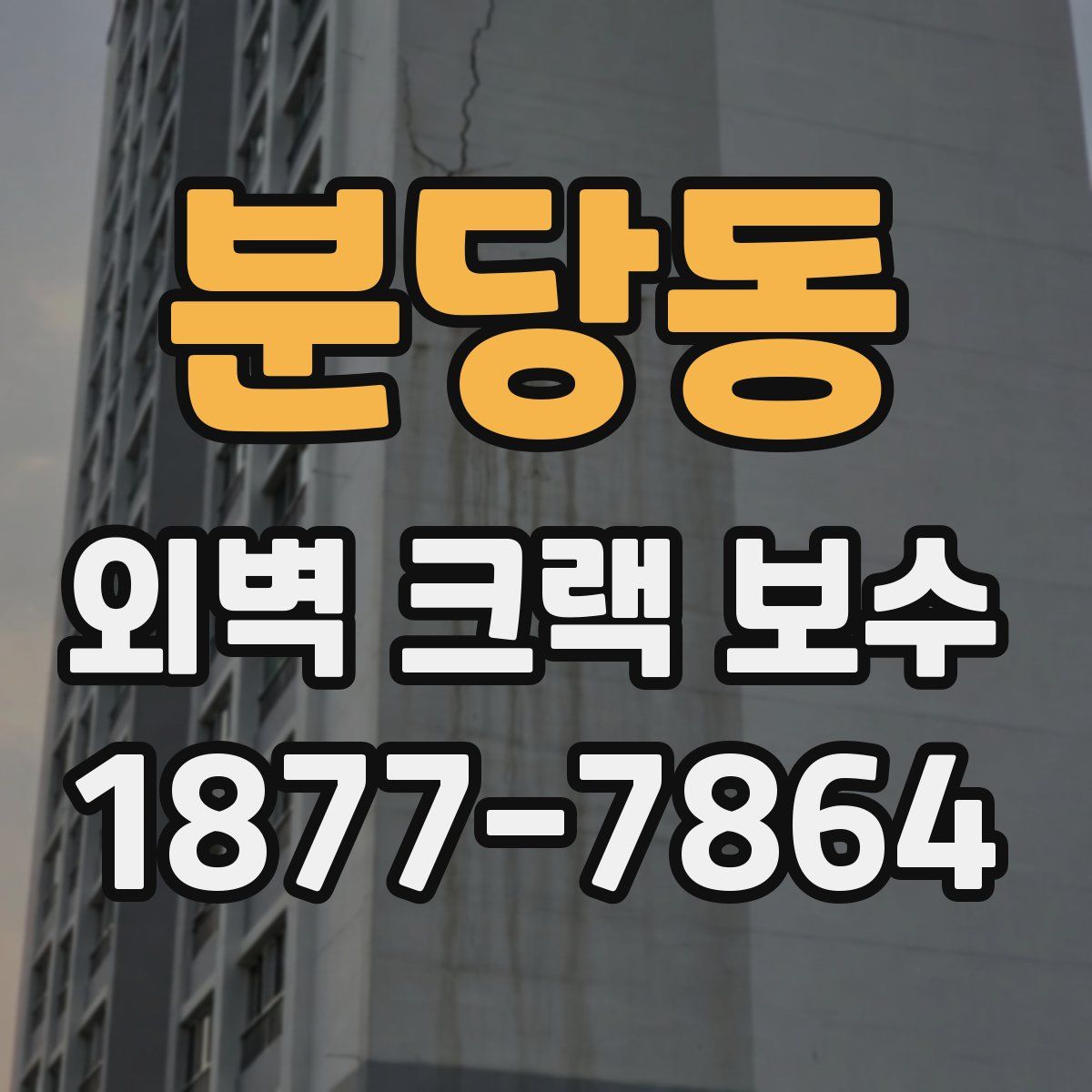 분당동 외벽 크랙 보수