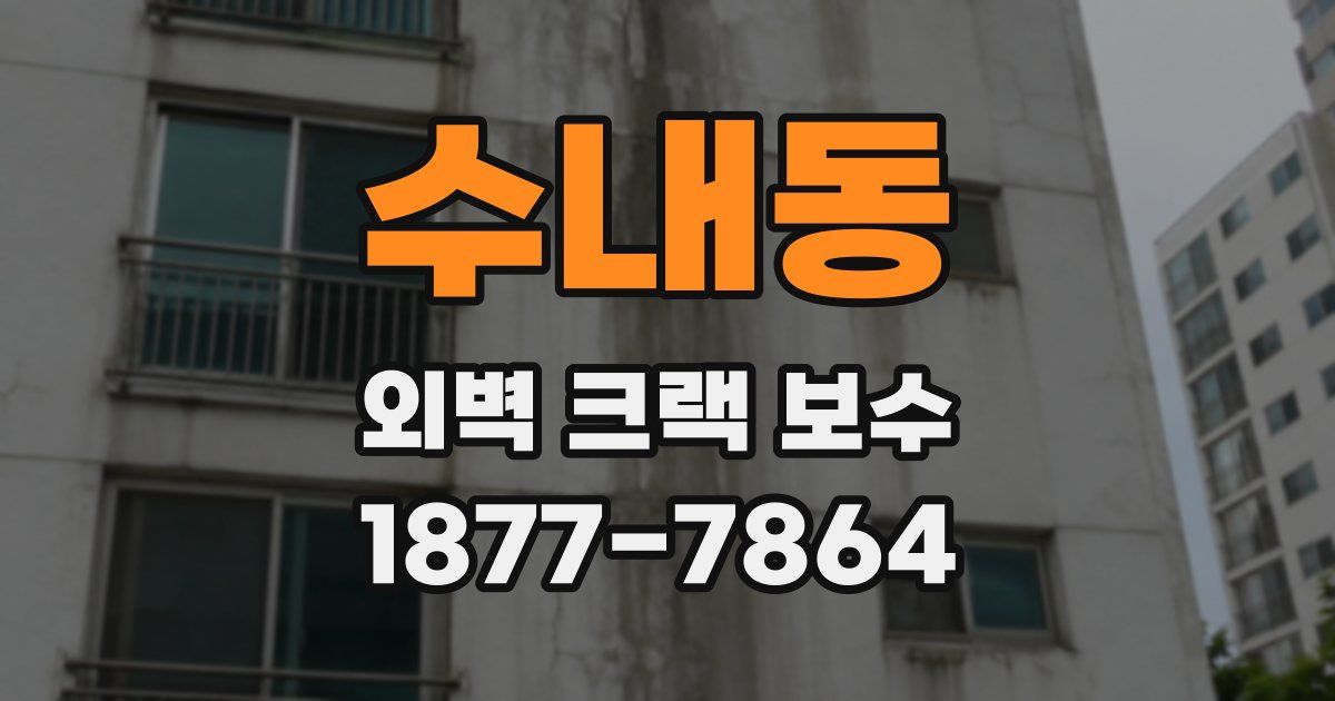 수내동 외벽 크랙 보수