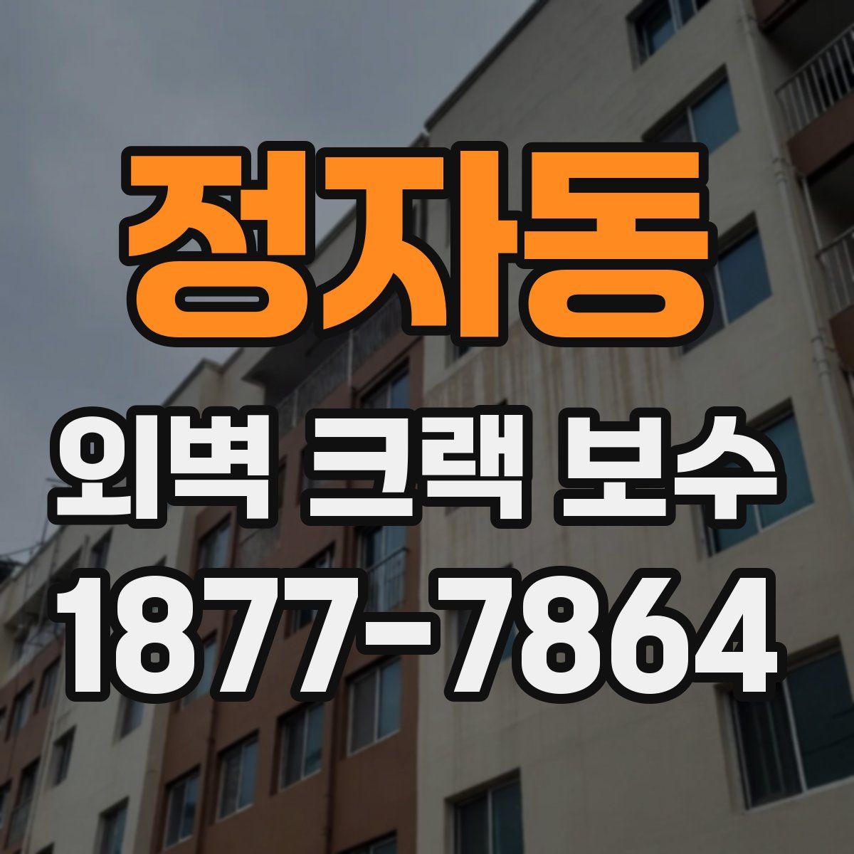 정자동 외벽 크랙 보수