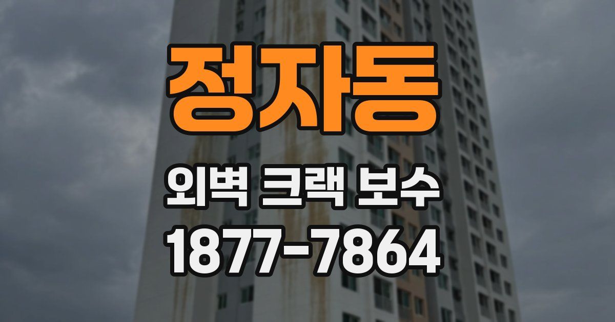 정자동 외벽 크랙 보수