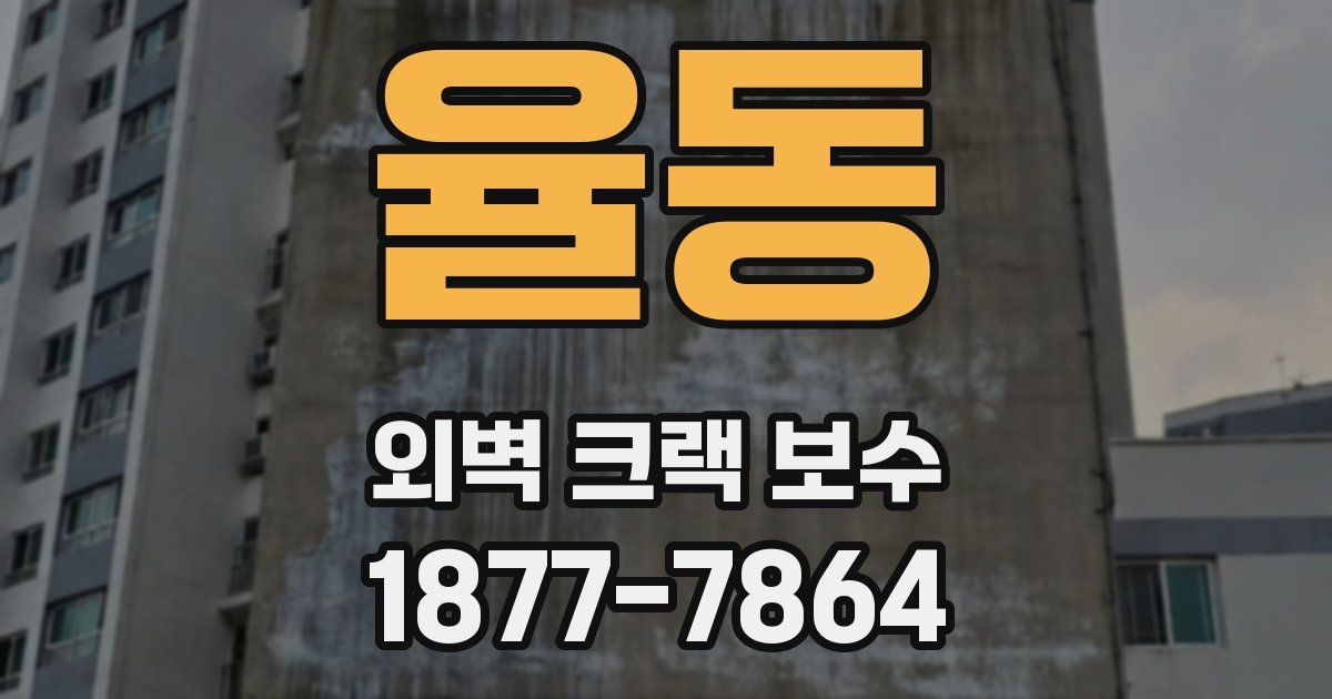 율동 외벽 크랙 보수