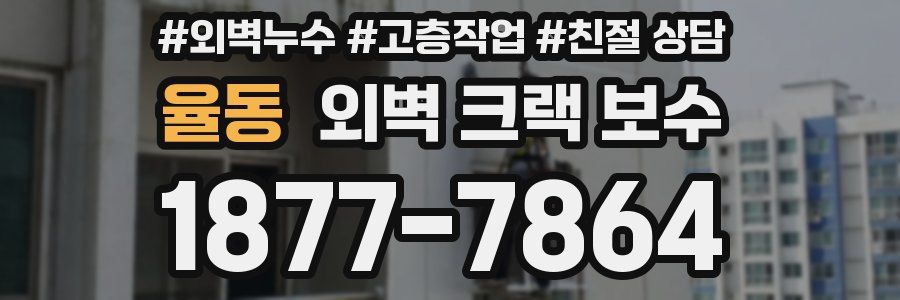 율동 외벽 크랙 보수
