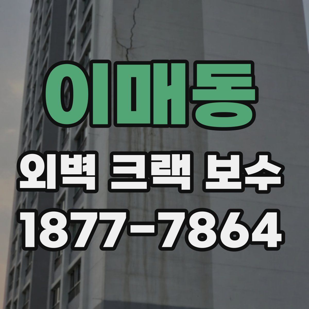 이매동 외벽 크랙 보수