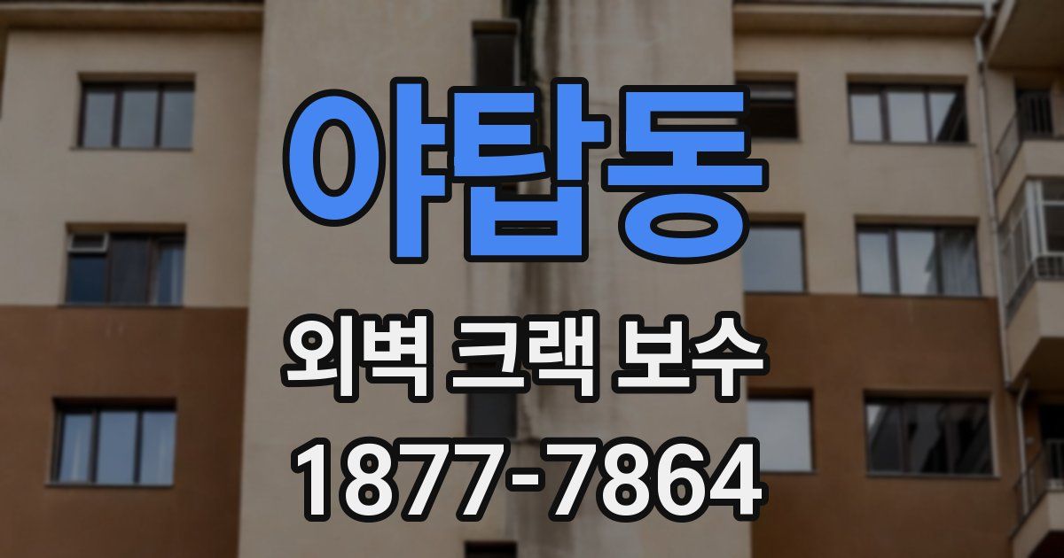 야탑동 외벽 크랙 보수