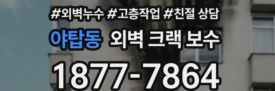 야탑동 외벽 크랙 보수