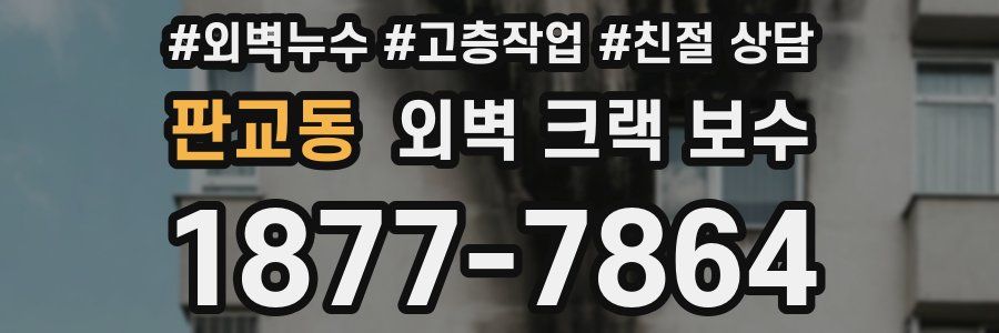 판교동 외벽 크랙 보수