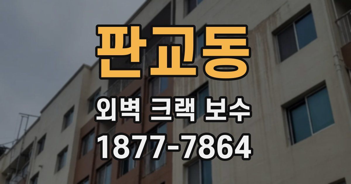 판교동 외벽 크랙 보수