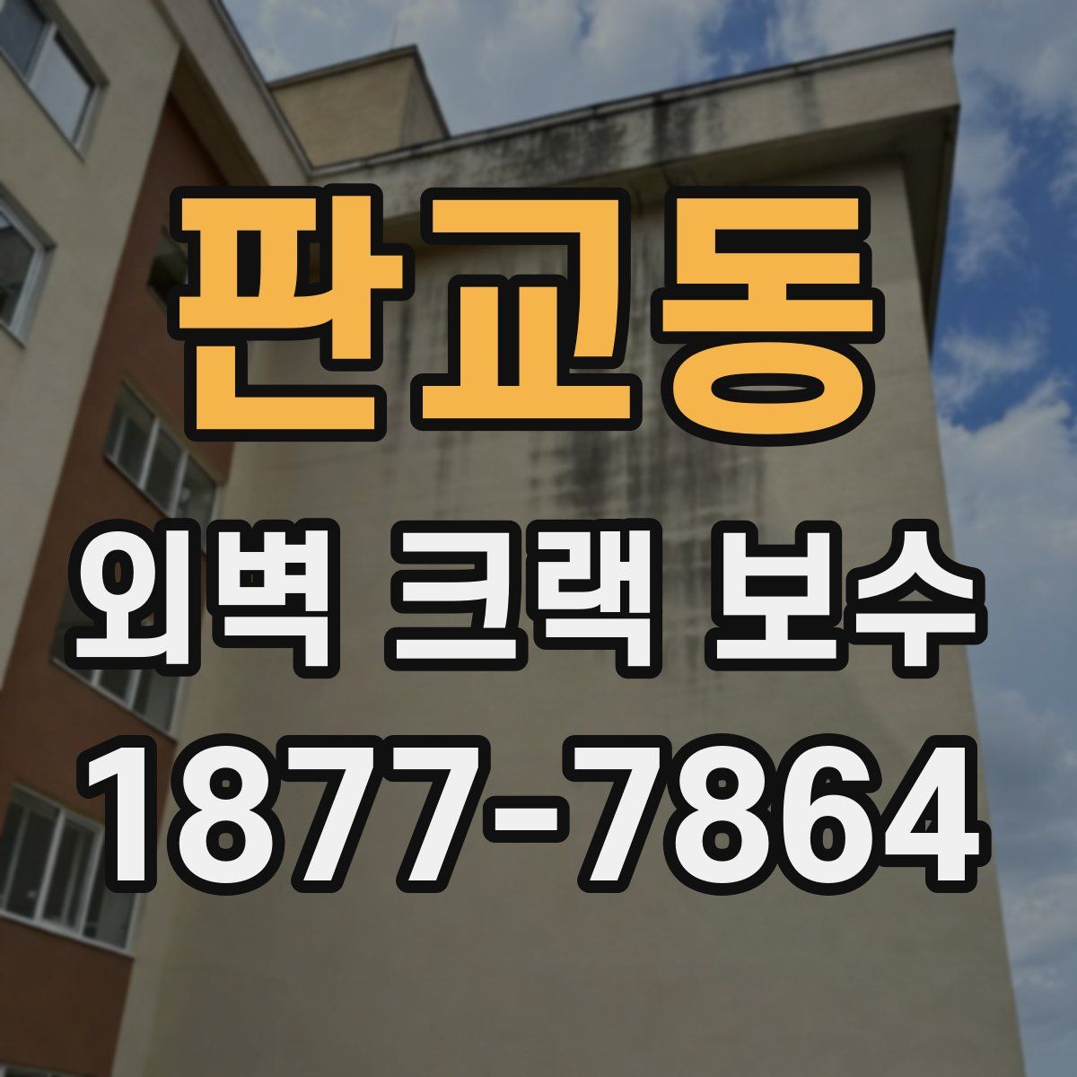 판교동 외벽 크랙 보수