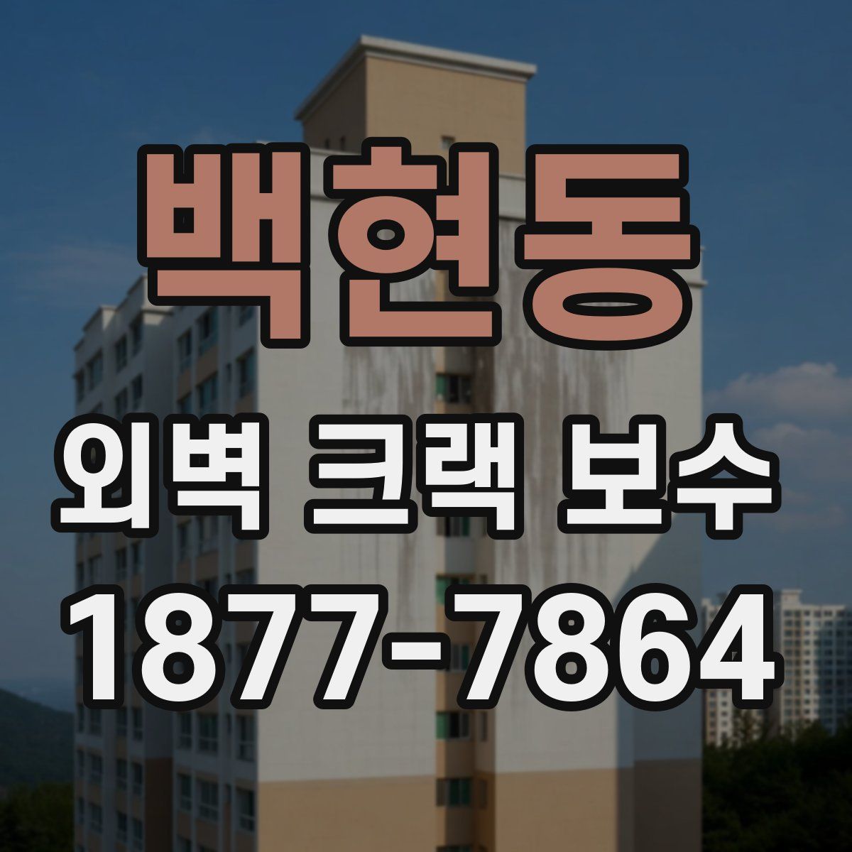 백현동 외벽 크랙 보수
