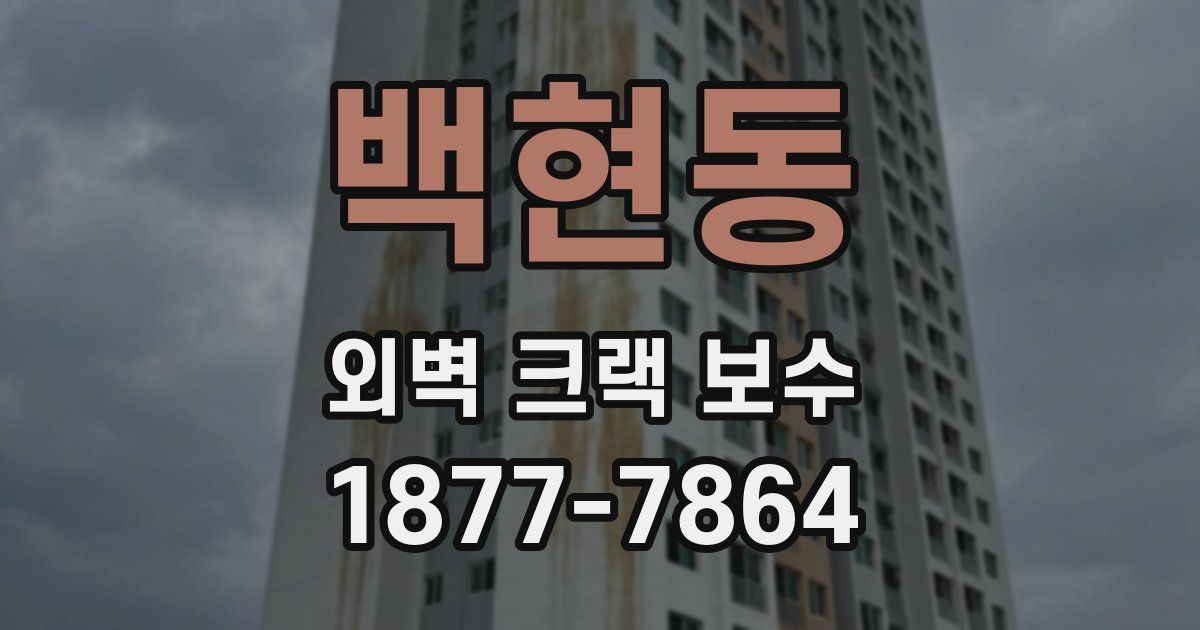 백현동 외벽 크랙 보수