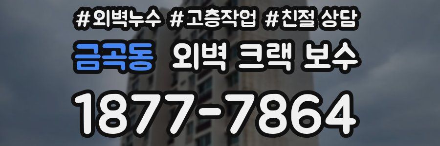 금곡동 외벽 크랙 보수