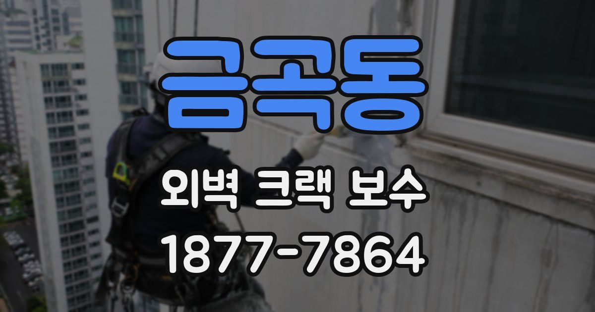 금곡동 외벽 크랙 보수