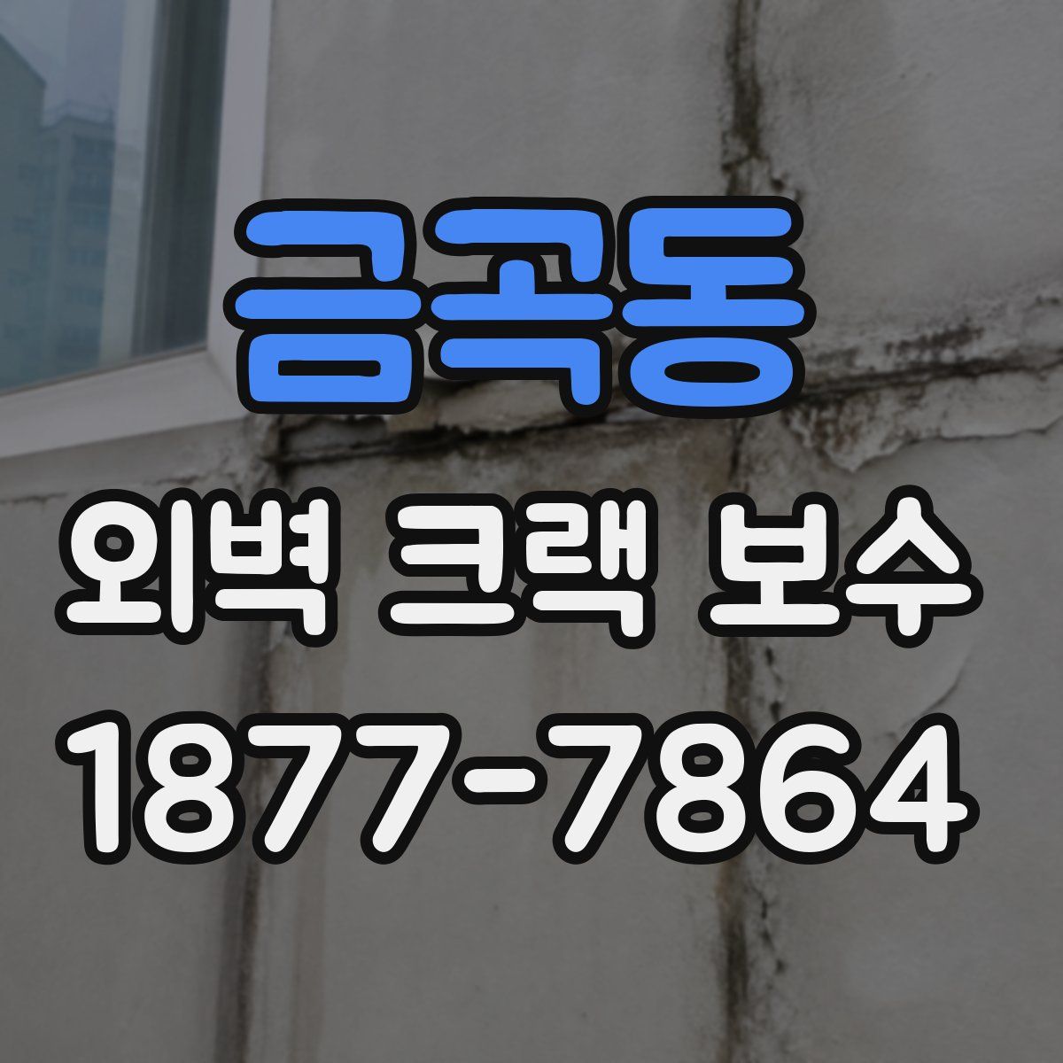 금곡동 외벽 크랙 보수