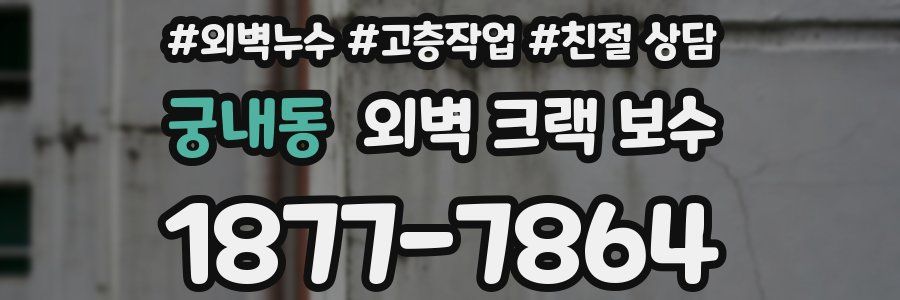 궁내동 외벽 크랙 보수