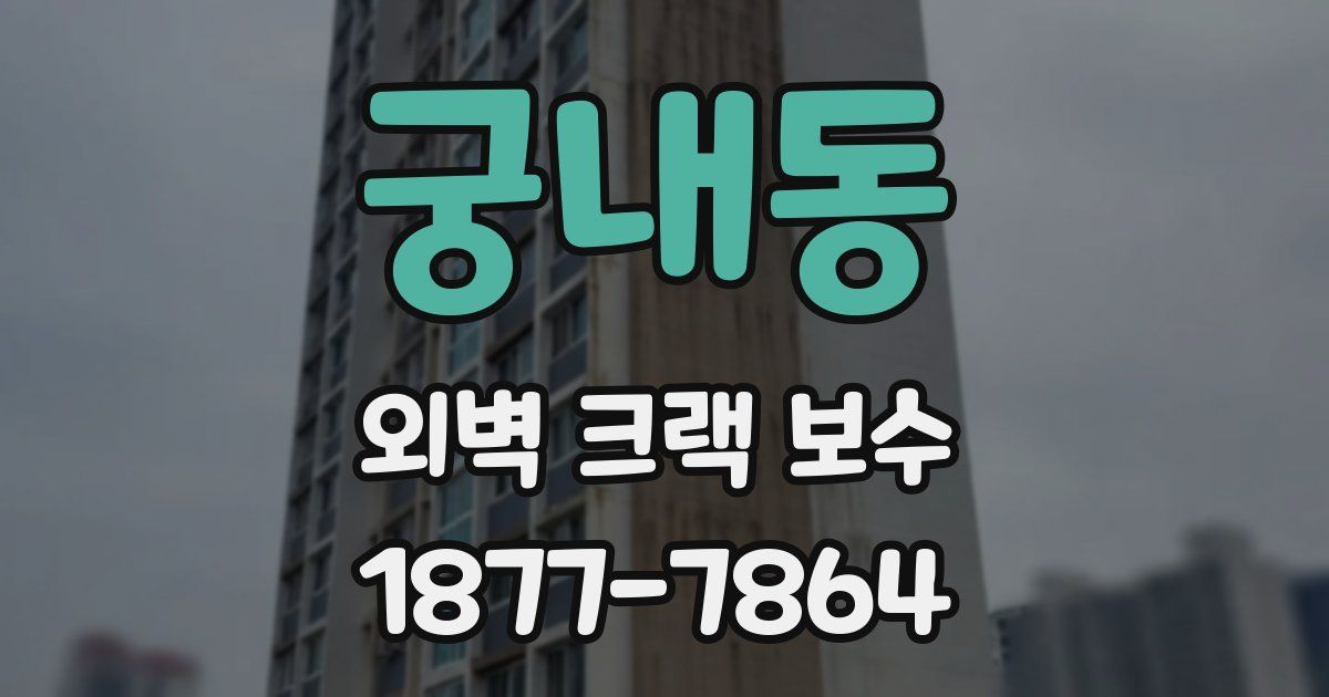 궁내동 외벽 크랙 보수