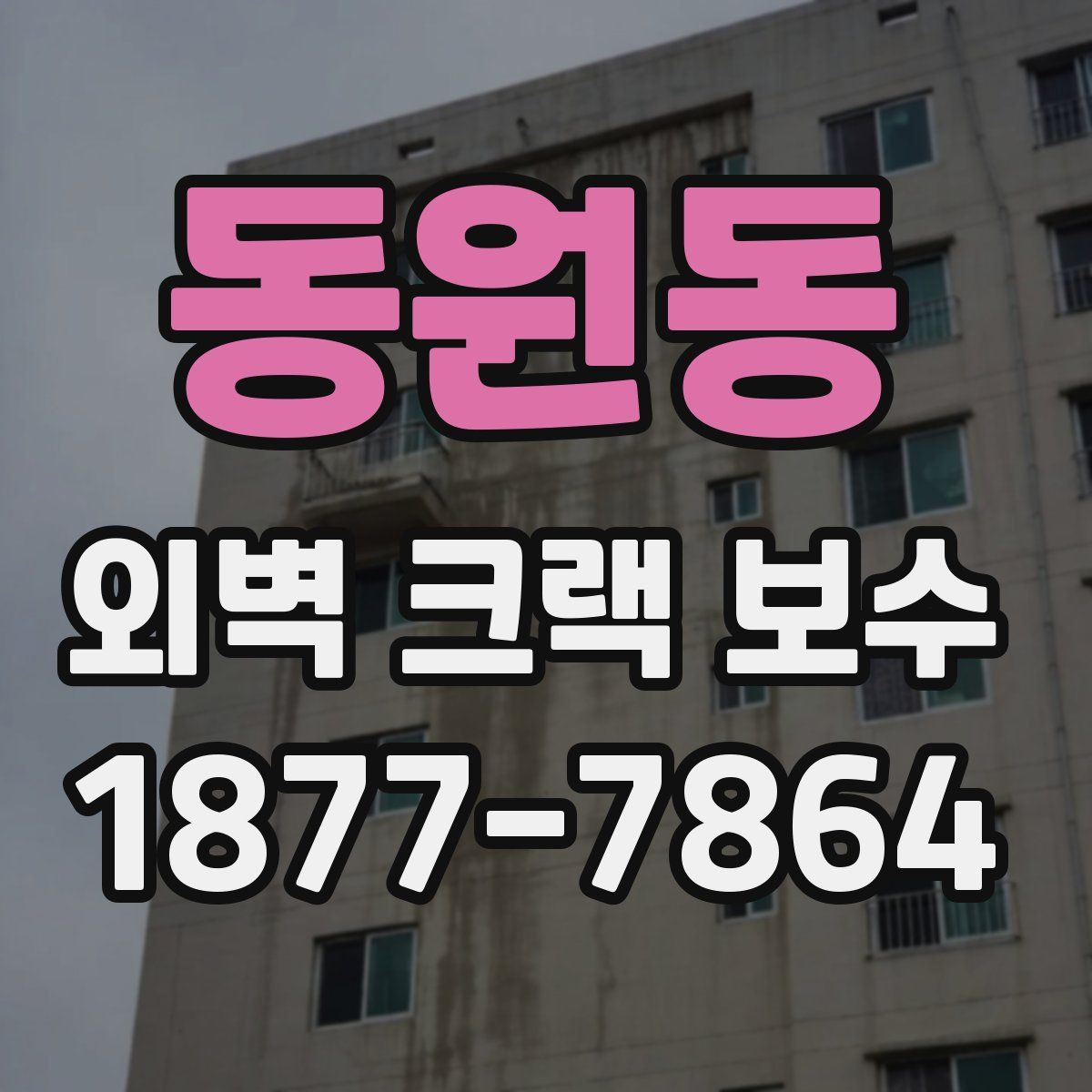 동원동 외벽 크랙 보수