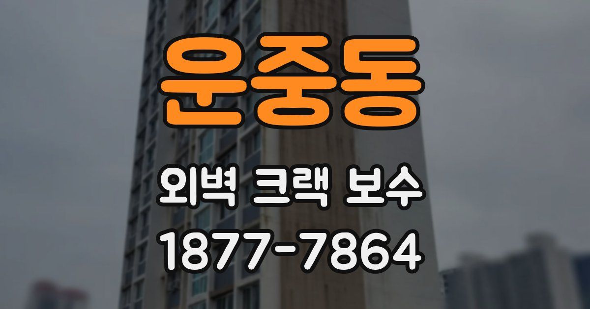 운중동 외벽 크랙 보수