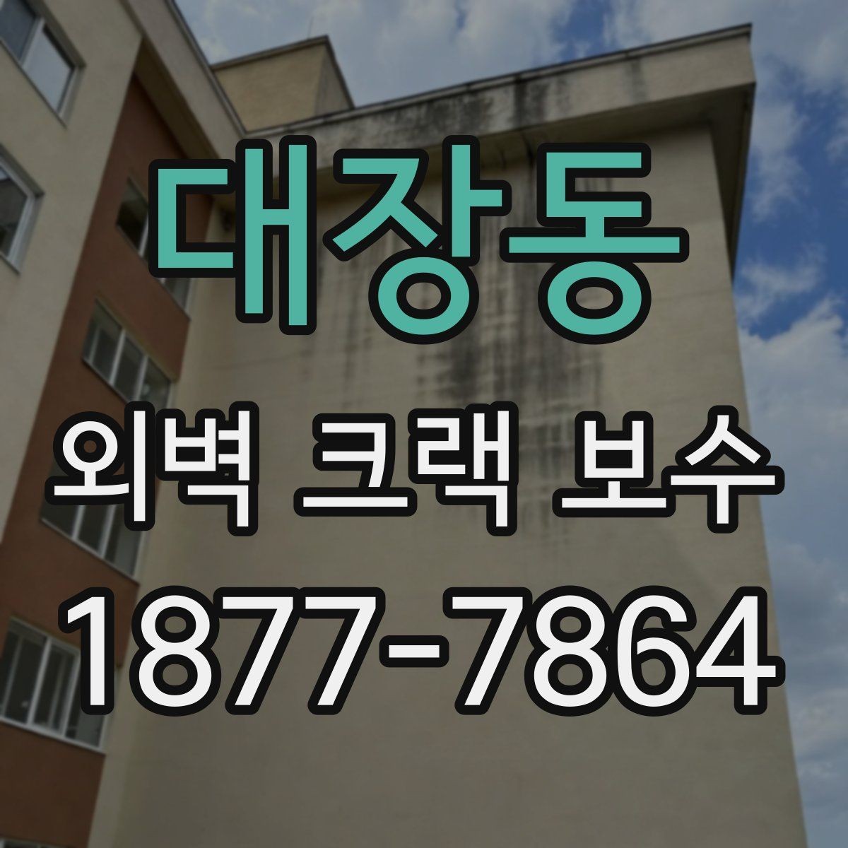 대장동 외벽 크랙 보수 전에 확인하는 누수 징후