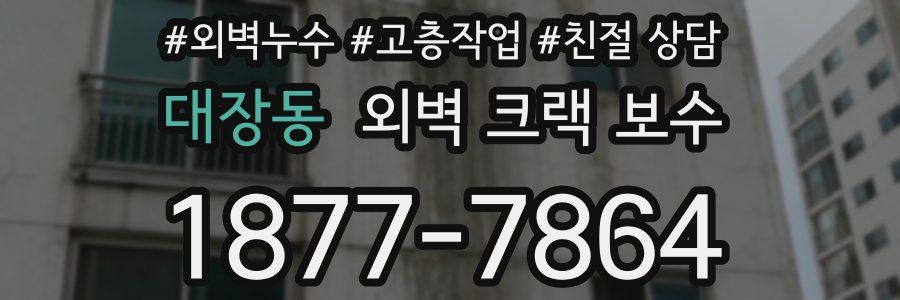 대장동 외벽 크랙 보수