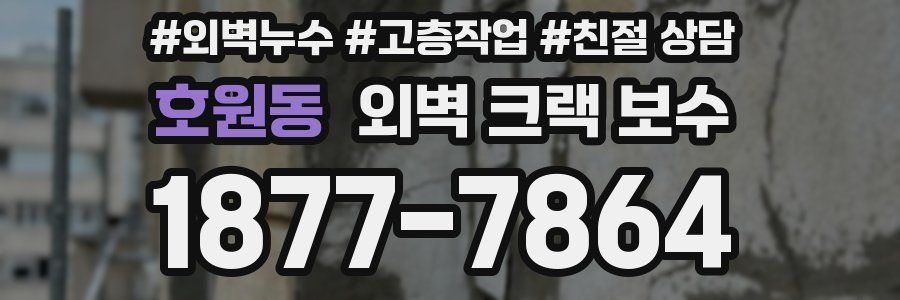 호원동 외벽 크랙 보수