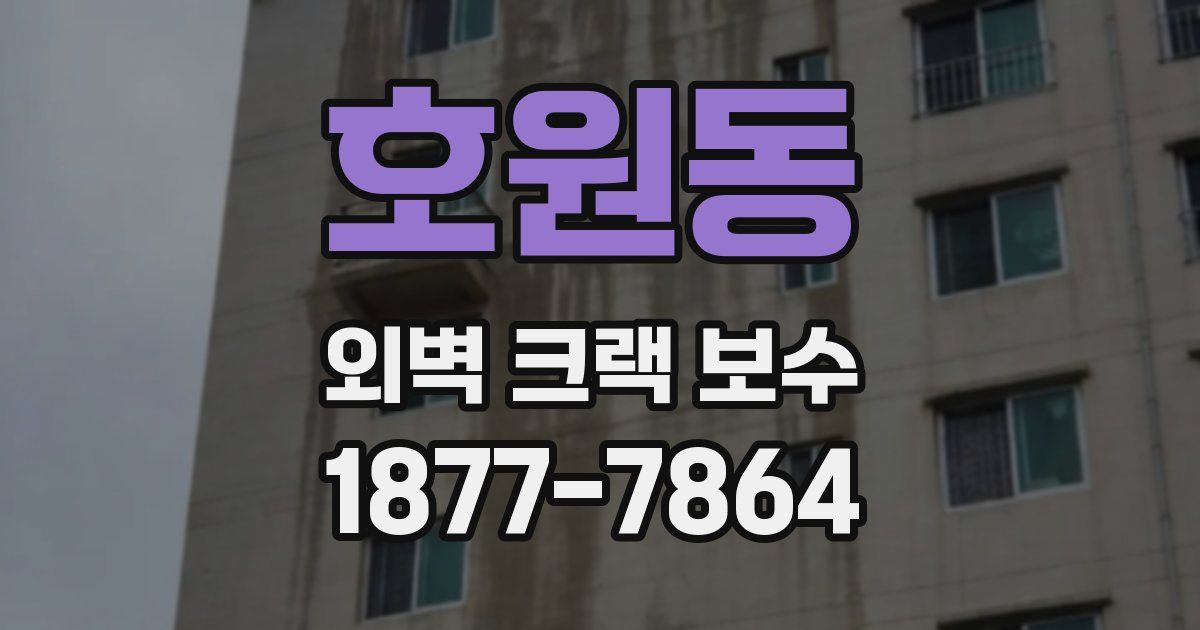 호원동 외벽 크랙 보수