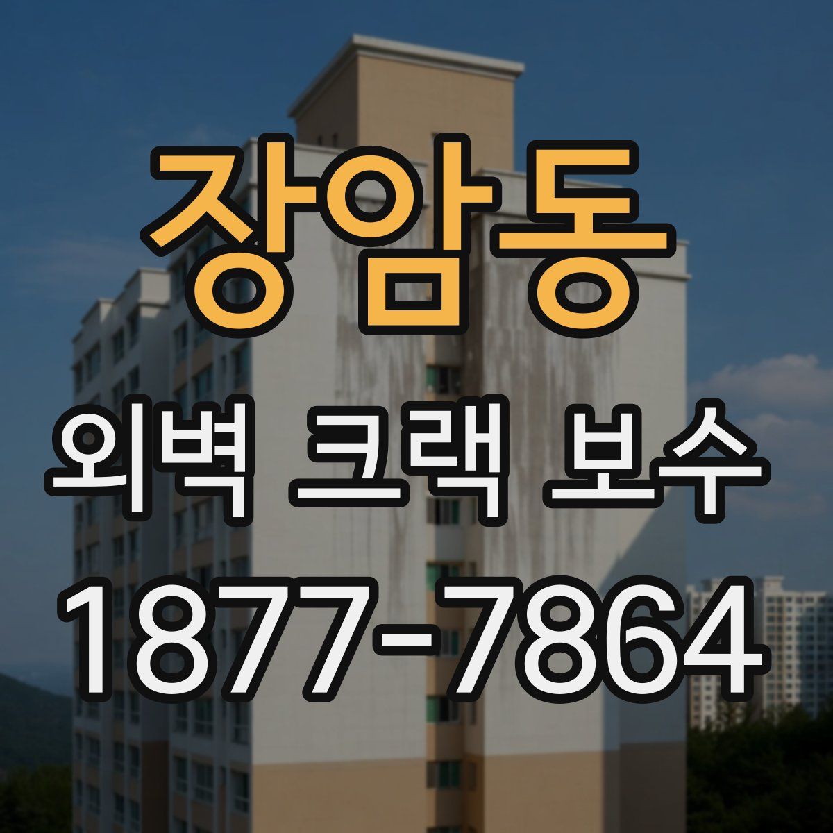 장암동 외벽 크랙 보수