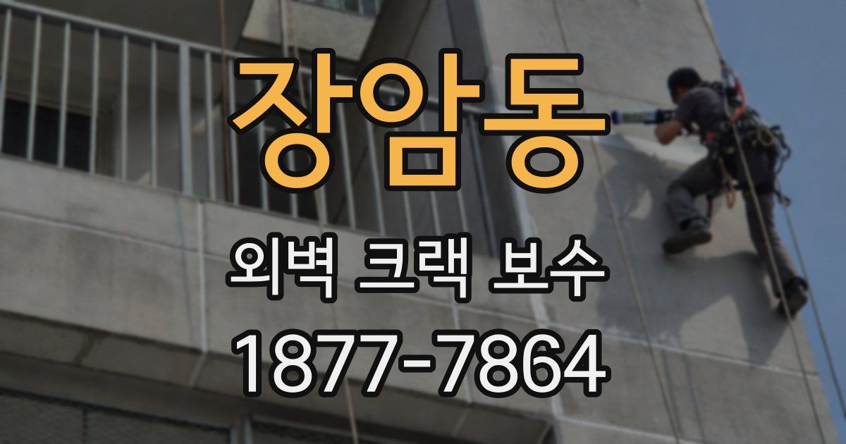 장암동 외벽 크랙 보수