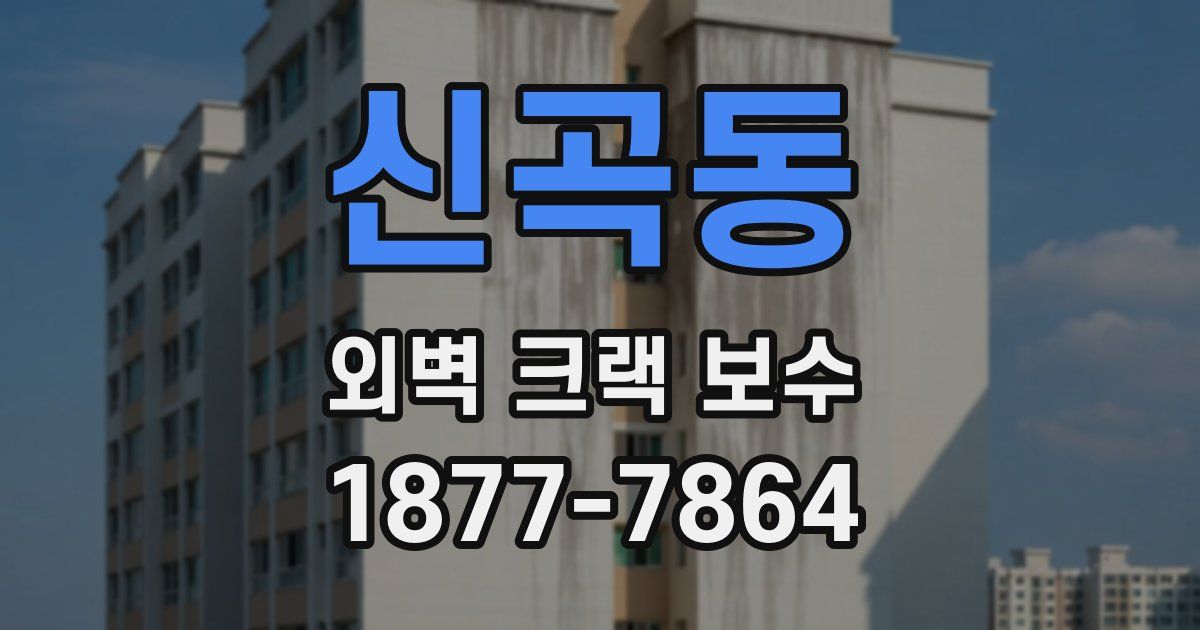 신곡동 외벽 크랙 보수