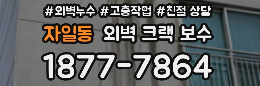 자일동 외벽 크랙 보수