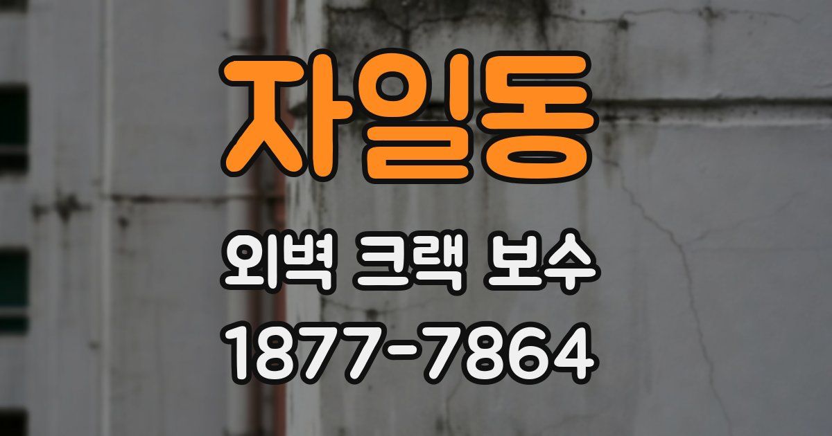 자일동 외벽 크랙 보수