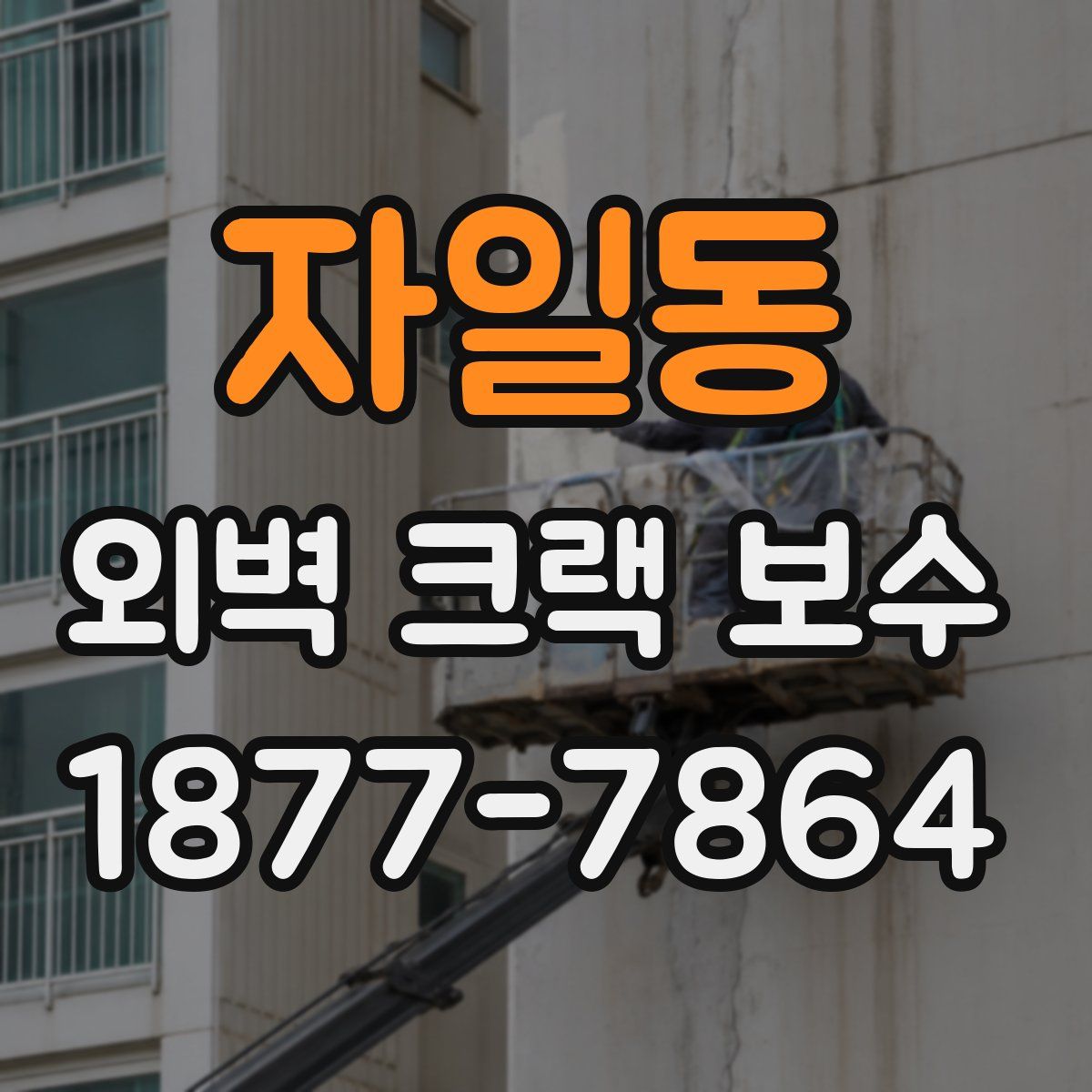 자일동 외벽 크랙 보수