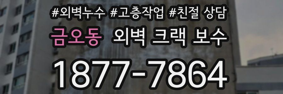 금오동 외벽 크랙 보수