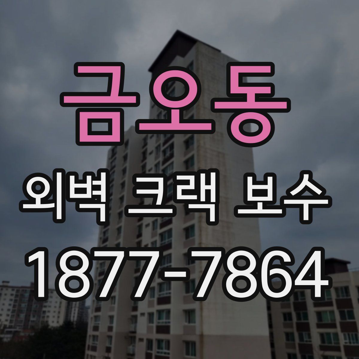 금오동 외벽 크랙 보수