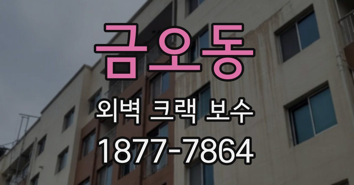금오동 외벽 크랙 보수