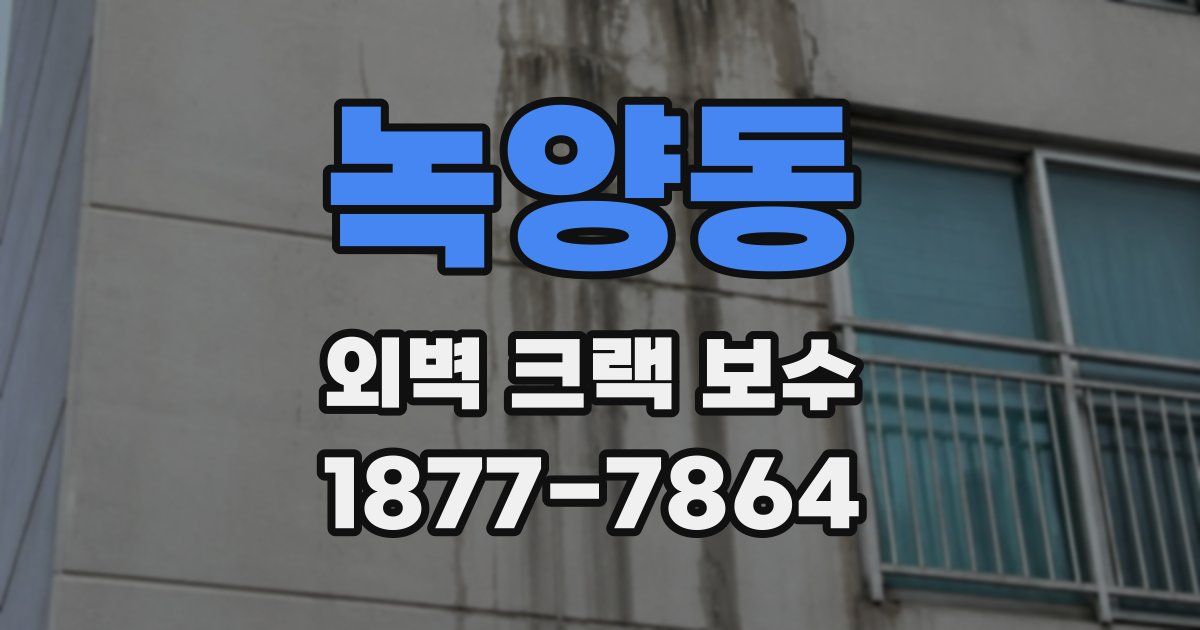 녹양동 외벽 크랙 보수