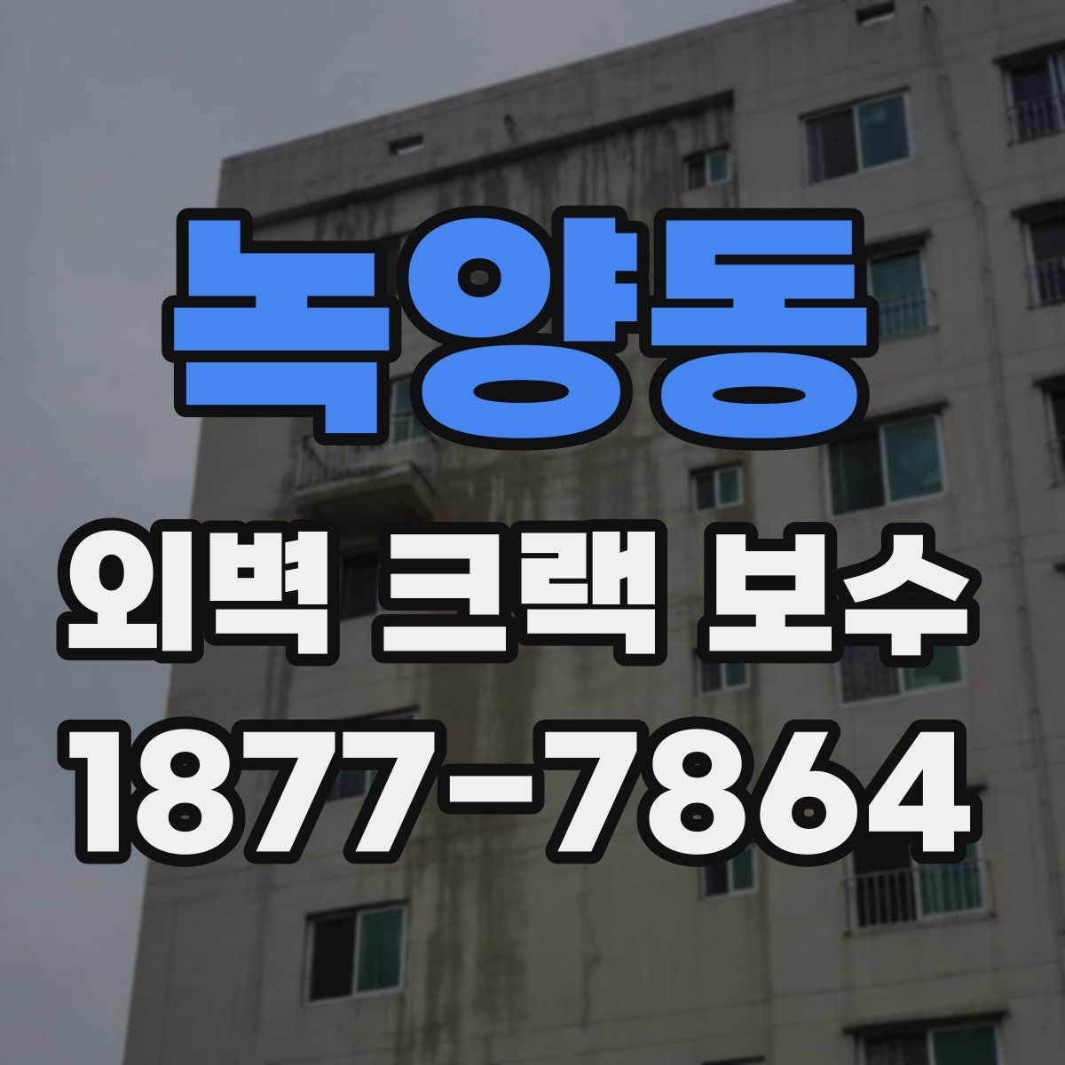 녹양동 외벽 크랙 보수