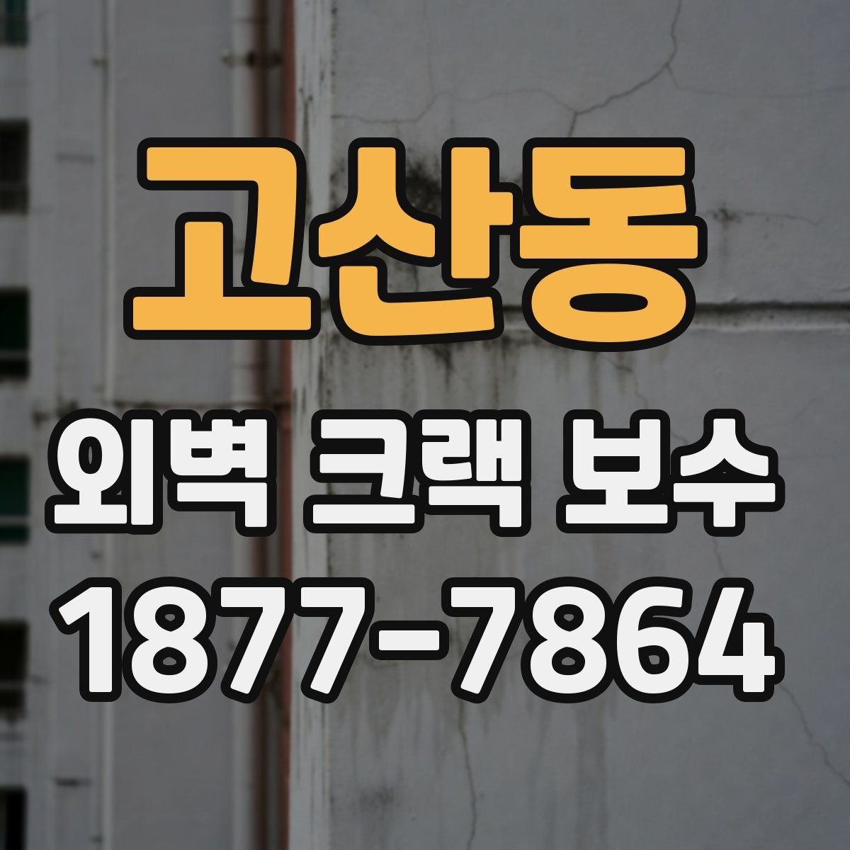 고산동 외벽 크랙 보수