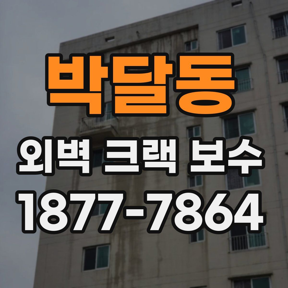 박달동 외벽 크랙 보수