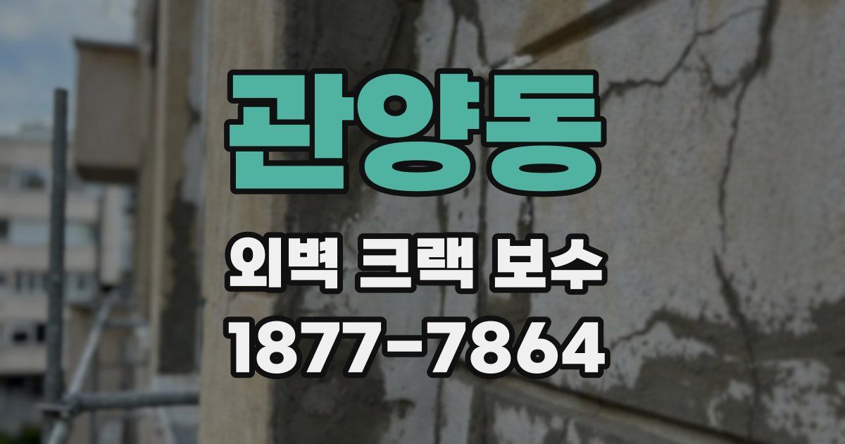관양동 외벽 크랙 보수