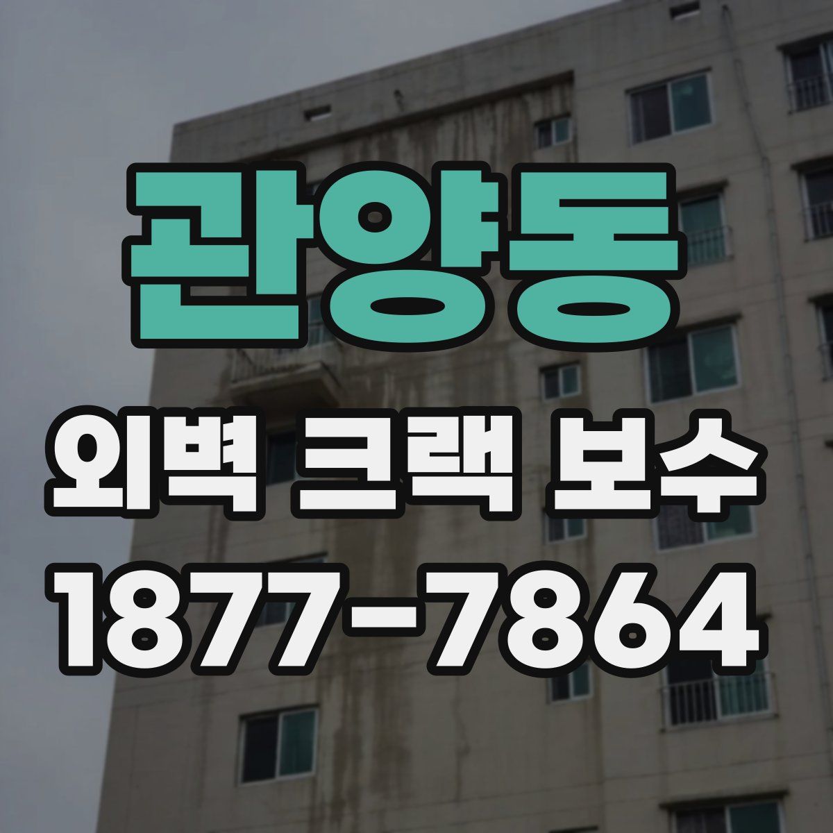 관양동 외벽 크랙 보수