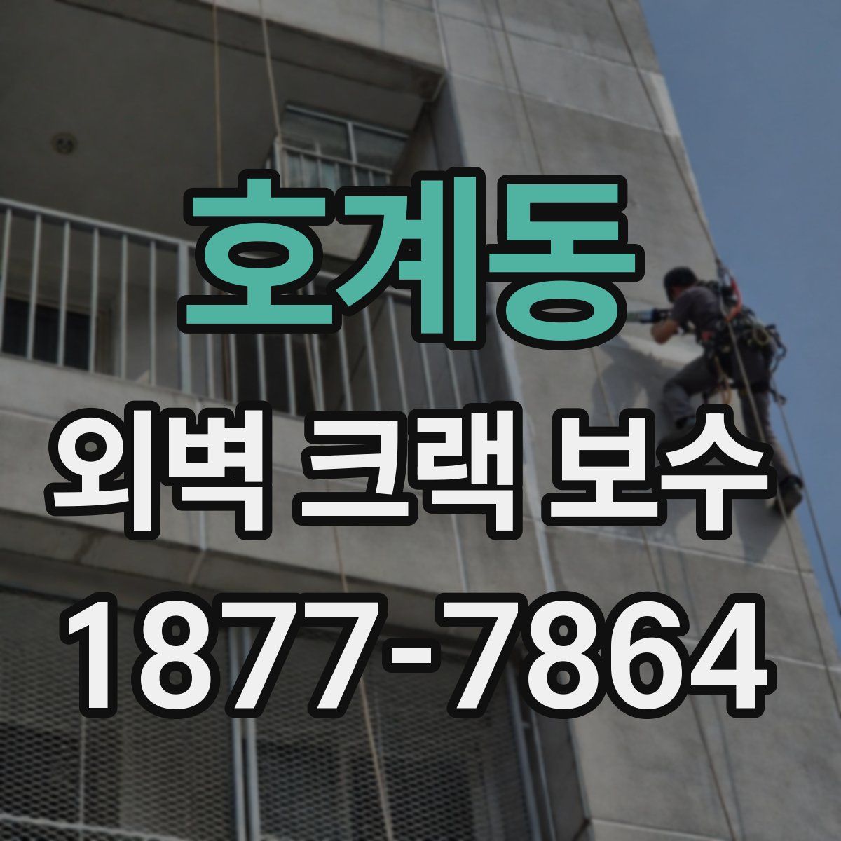 호계동 외벽 크랙 보수