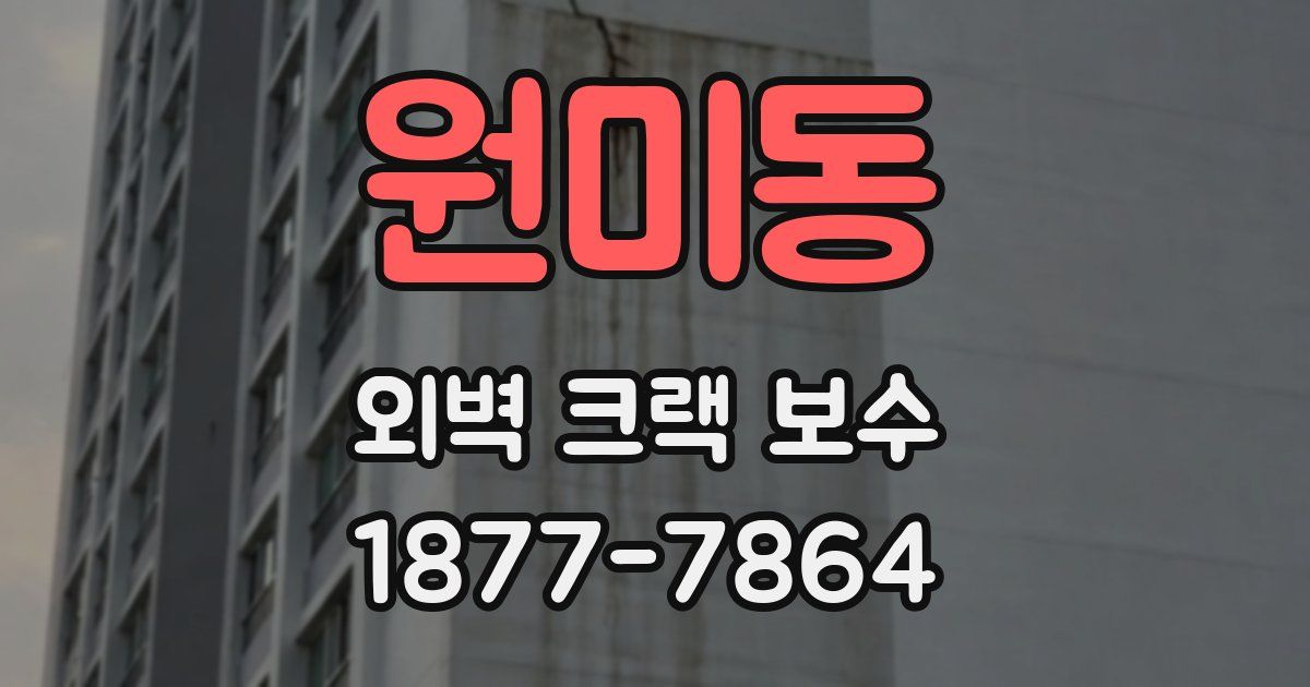 원미동 외벽 크랙 보수