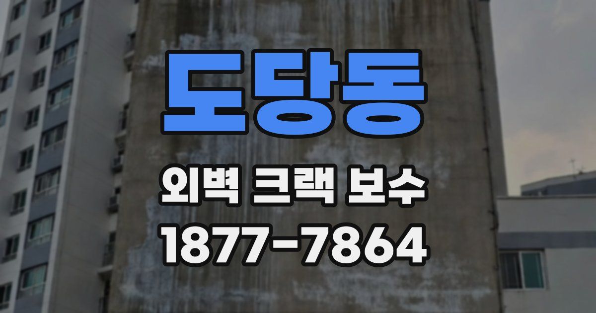 도당동 외벽 크랙 보수