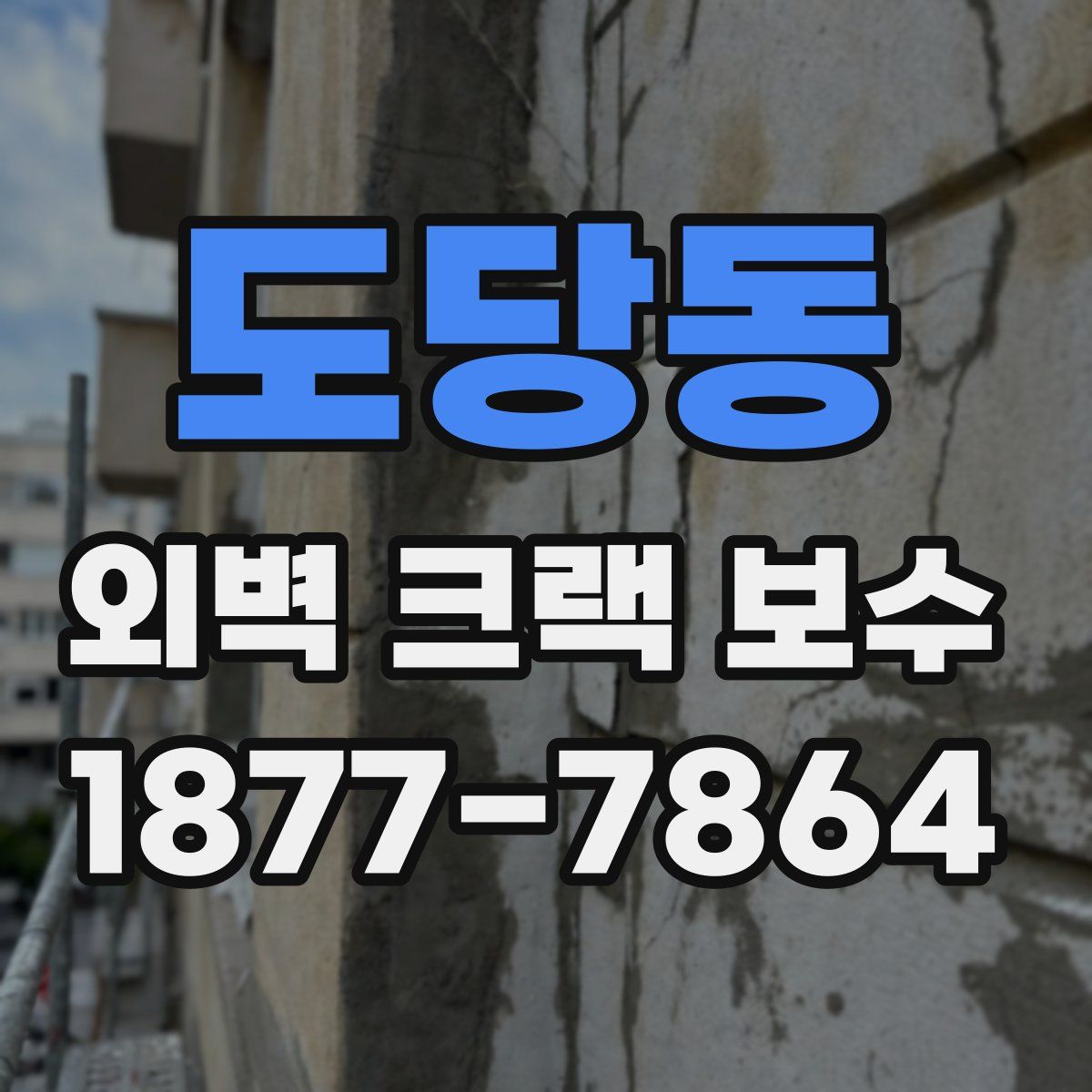 도당동 외벽 크랙 보수